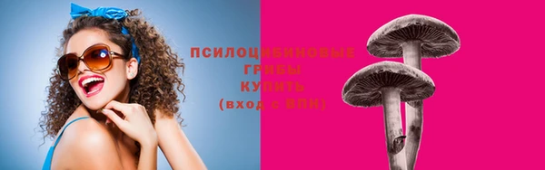 прущие крисы Верея
