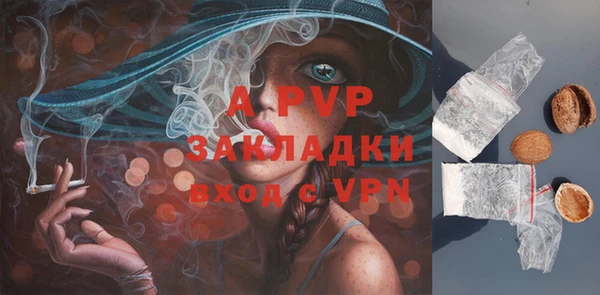 прущие крисы Верея