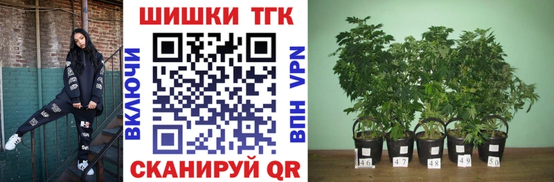 Бошки Шишки сатива  Темрюк 
